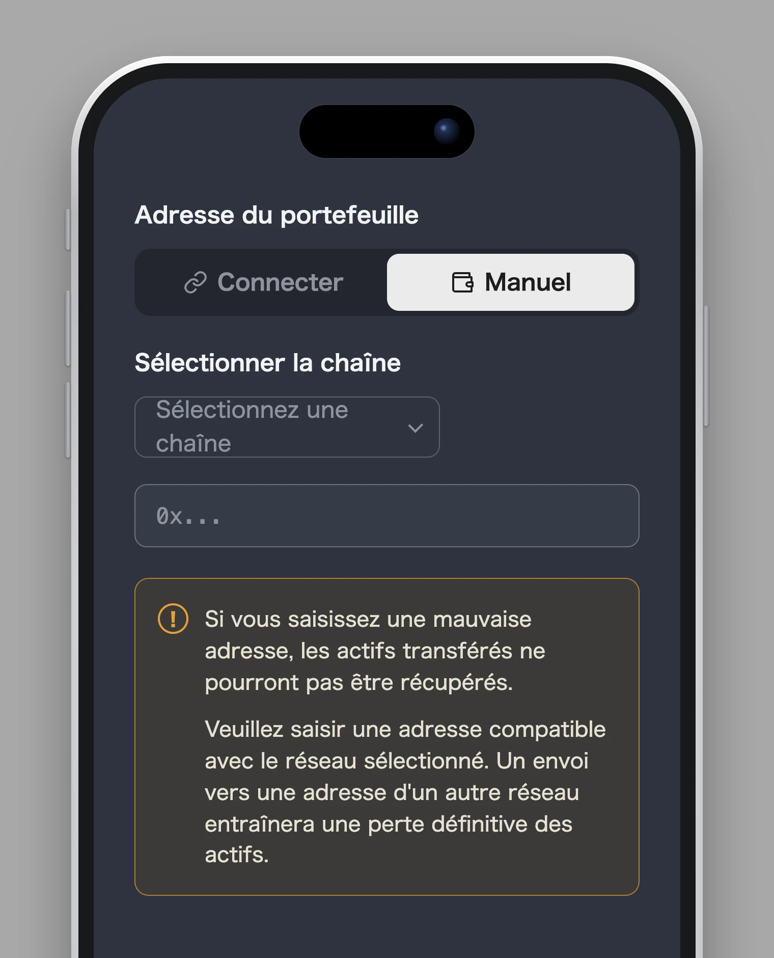 Ou saisir l'adresse manuellement