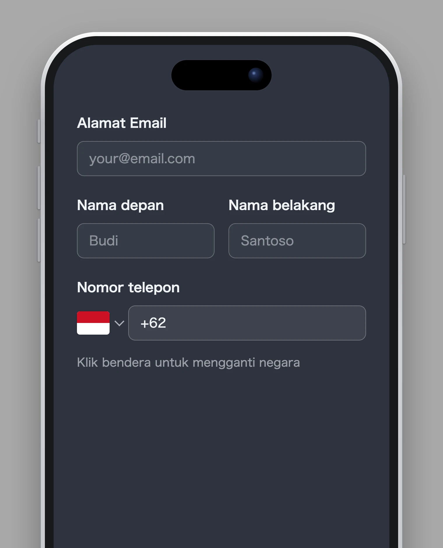 Masukkan data Anda